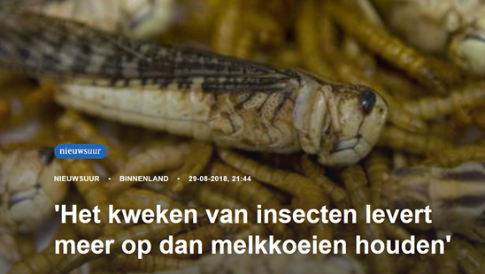 Nos_artikel.png